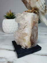 Load image into Gallery viewer, Peruvian Quantum Quartz (Chrysocolla in Quartz) Cockatoo on Clear Quartz Cluster Base
