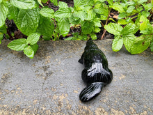 Load image into Gallery viewer, Platypus Black Obsidian Carving
