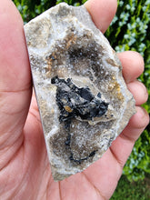 Load image into Gallery viewer, Herkimer Diamond Raw #430
