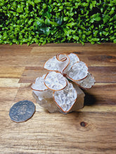 Load image into Gallery viewer, Handcrafted Chip Flower on Quartz
