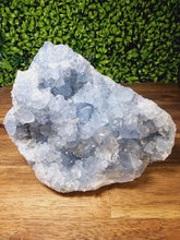Load image into Gallery viewer, Celestite Raw Freeforms
