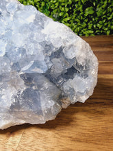 Load image into Gallery viewer, Celestite Raw Freeforms
