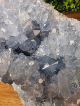 Load image into Gallery viewer, Celestite Raw Freeforms
