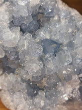 Load image into Gallery viewer, Celestite Raw Freeforms
