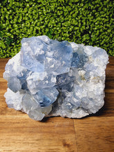 Load image into Gallery viewer, Celestite Raw Freeforms
