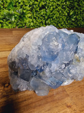 Load image into Gallery viewer, Celestite Raw Freeforms
