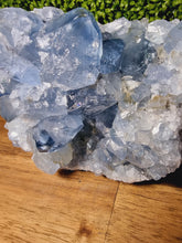 Load image into Gallery viewer, Celestite Raw Freeforms
