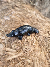 Load image into Gallery viewer, Platypus Black Obsidian Carving
