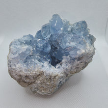 Load image into Gallery viewer, Celestite Cluster
