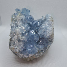 Load image into Gallery viewer, Celestite Cluster
