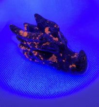 Load image into Gallery viewer, Yooperlite Dragon Skull Carving
