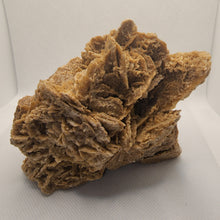 Load image into Gallery viewer, Raw Desert Rose Hedgehog
