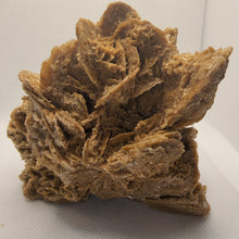 Load image into Gallery viewer, Raw Desert Rose Hedgehog
