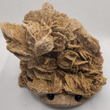 Load image into Gallery viewer, Raw Desert Rose Hedgehog
