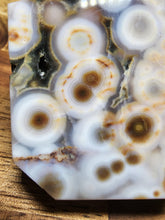 Load image into Gallery viewer, 8th Vein Ocean Jasper Freeform #240
