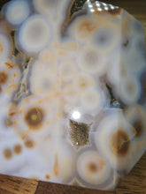 Load image into Gallery viewer, 8th Vein Ocean Jasper Freeform #240
