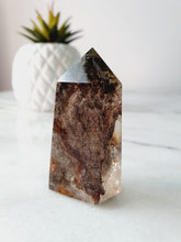 Load image into Gallery viewer, Garden Quartz Point
