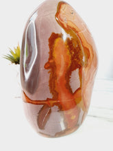 Load image into Gallery viewer, Madagascan Polychrome Freeform
