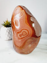 Load image into Gallery viewer, Madagascan Polychrome Freeform
