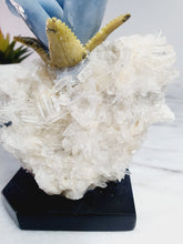 Load image into Gallery viewer, Green Jade Hummingbird on Cluster Quartz Base &amp; Angelite Flower with Serpentine Leaves
