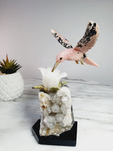 Load image into Gallery viewer, Peruvian Rhodonite Hummingbird on Quartz Cluster Base On White Jade Flower with Serpentine Leaves
