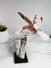 Load image into Gallery viewer, Peruvian Rhodonite Hummingbird on Quartz Cluster Base On White Jade Flower with Serpentine Leaves
