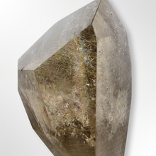 Load image into Gallery viewer, Golden Rutilated Quartz Freeform
